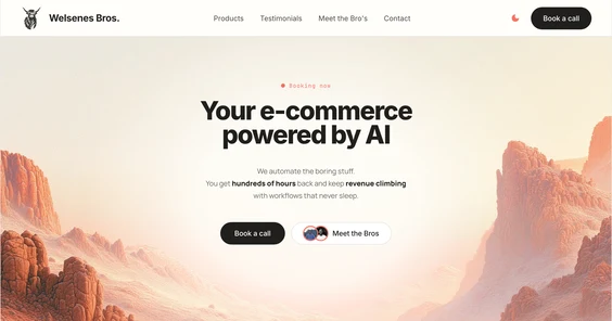 The Welsenes Brothers website: Your e-commerce powered by AI